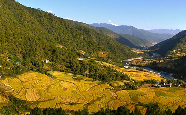 Punakha Winter Trek